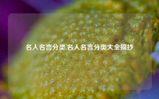 名人名言分类,名人名言分类大全摘抄