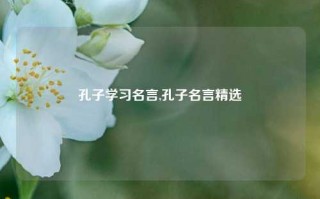 孔子学习名言,孔子名言精选