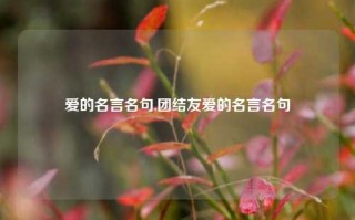 爱的名言名句,团结友爱的名言名句