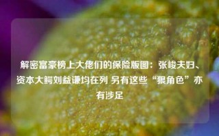 解密富豪榜上大佬们的保险版图：张峻夫妇、资本大鳄刘益谦均在列 另有这些“狠角色”亦有涉足