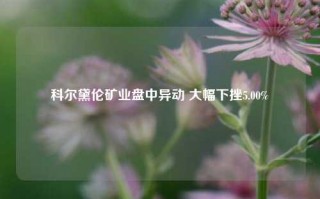 科尔黛伦矿业盘中异动 大幅下挫5.00%