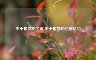 关于植物的名言,关于植物的名言诗句