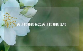 关于比赛的名言,关于比赛的佳句