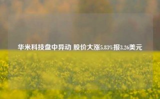 华米科技盘中异动 股价大涨5.83%报3.26美元