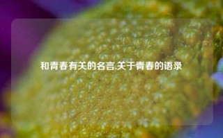 和青春有关的名言,关于青春的语录