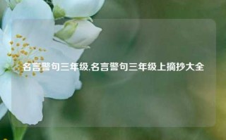 名言警句三年级,名言警句三年级上摘抄大全