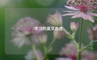 学习的英文名言