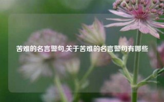 苦难的名言警句,关于苦难的名言警句有哪些