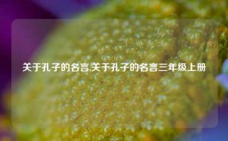 关于孔子的名言,关于孔子的名言三年级上册