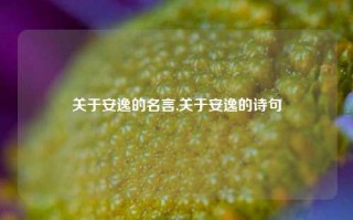 关于安逸的名言,关于安逸的诗句