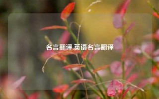 名言翻译,英语名言翻译