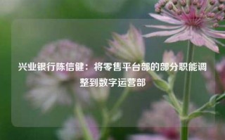 兴业银行陈信健：将零售平台部的部分职能调整到数字运营部