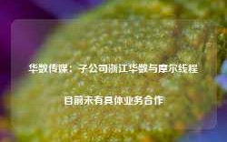 华数传媒：子公司浙江华数与摩尔线程目前未有具体业务合作