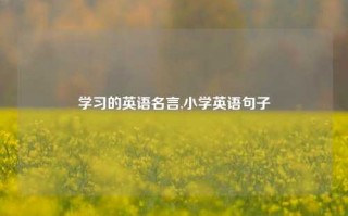 学习的英语名言,小学英语句子