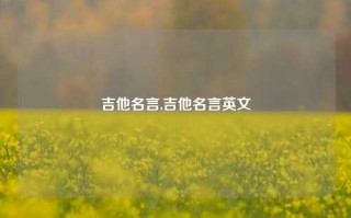 吉他名言,吉他名言英文