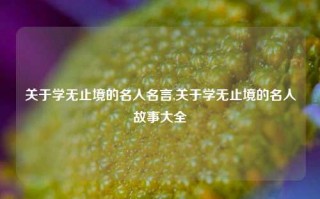 关于学无止境的名人名言,关于学无止境的名人故事大全