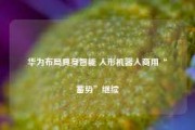 华为布局具身智能 人形机器人商用“蓄势”继续