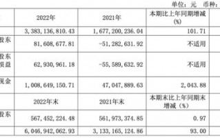 押宝南孚电池！安孚科技能赌赢么？