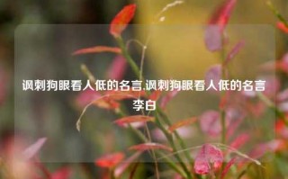 讽刺狗眼看人低的名言,讽刺狗眼看人低的名言李白