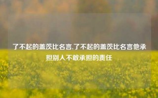 了不起的盖茨比名言,了不起的盖茨比名言他承担别人不敢承担的责任