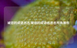 诚信的成语名言,诚信的成语名言名句有哪些