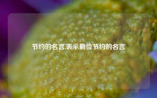 节约的名言,表示勤俭节约的名言