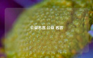 公益名言,公益 名言