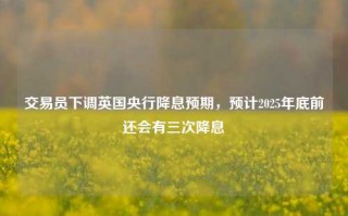 交易员下调英国央行降息预期，预计2025年底前还会有三次降息