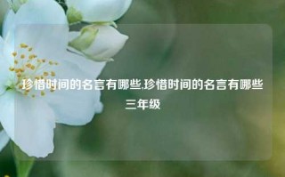 珍惜时间的名言有哪些,珍惜时间的名言有哪些三年级