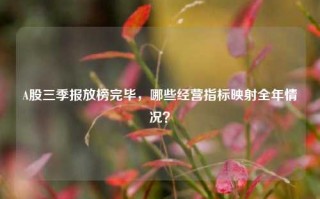 A股三季报放榜完毕，哪些经营指标映射全年情况？