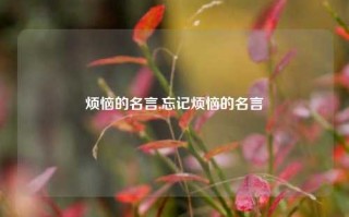 烦恼的名言,忘记烦恼的名言