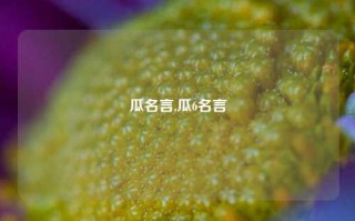 瓜名言,瓜6名言