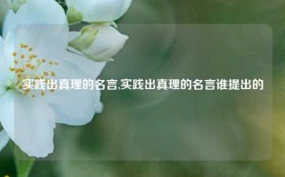 实践出真理的名言,实践出真理的名言谁提出的