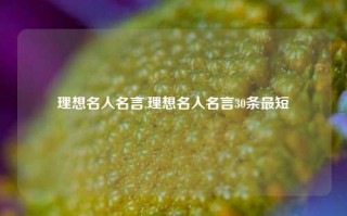 理想名人名言,理想名人名言30条最短