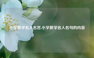 小学数学名人名言,小学数学名人名句的内容