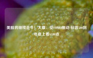 美股将继续走牛！大摩：受FOMO推动 标普500到年底上看6100点