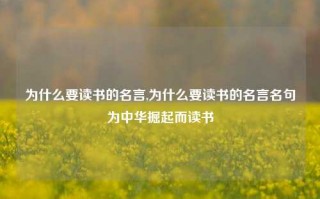 为什么要读书的名言,为什么要读书的名言名句为中华掘起而读书