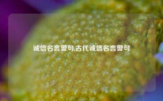 诚信名言警句,古代诚信名言警句