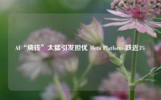 AI“烧钱”太猛引发担忧 Meta Platforms跌近3%