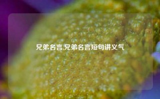 兄弟名言,兄弟名言短句讲义气