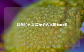 简单的名言,简单的名言警句100条