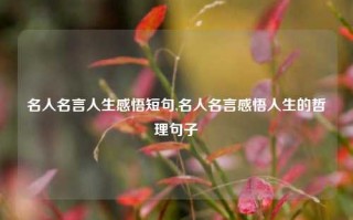 名人名言人生感悟短句,名人名言感悟人生的哲理句子