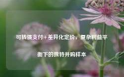 可转债支付+差异化定价，复杂利益平衡下的独特并购样本