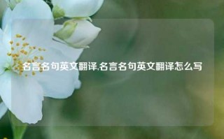 名言名句英文翻译,名言名句英文翻译怎么写