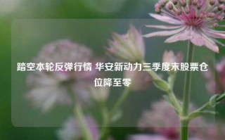 踏空本轮反弹行情 华安新动力三季度末股票仓位降至零