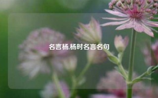 名言杨,杨时名言名句