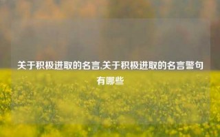 关于积极进取的名言,关于积极进取的名言警句有哪些