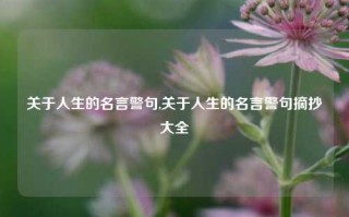 关于人生的名言警句,关于人生的名言警句摘抄大全