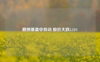 戴纳基盘中异动 股价大跌5.13%