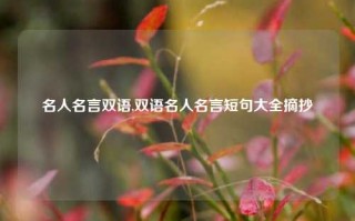 名人名言双语,双语名人名言短句大全摘抄